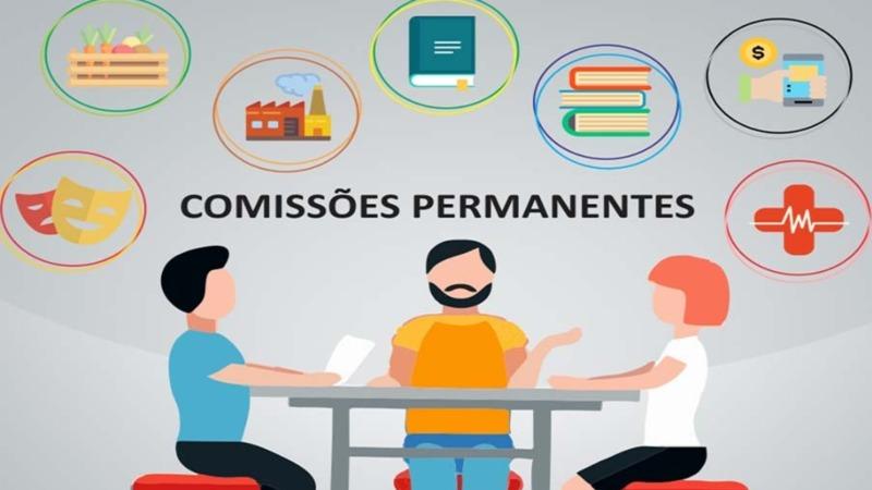 Definidas as comissões permanentes da Câmara Municipal de Barbosa Ferraz